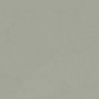 Chromatic Salvia